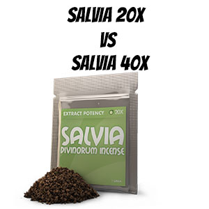 Salvia Extract 20X