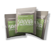Salvia Pack 10x 20x 40x for sale